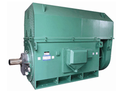 YJTGKK6301-4Y系列6KV高压电机